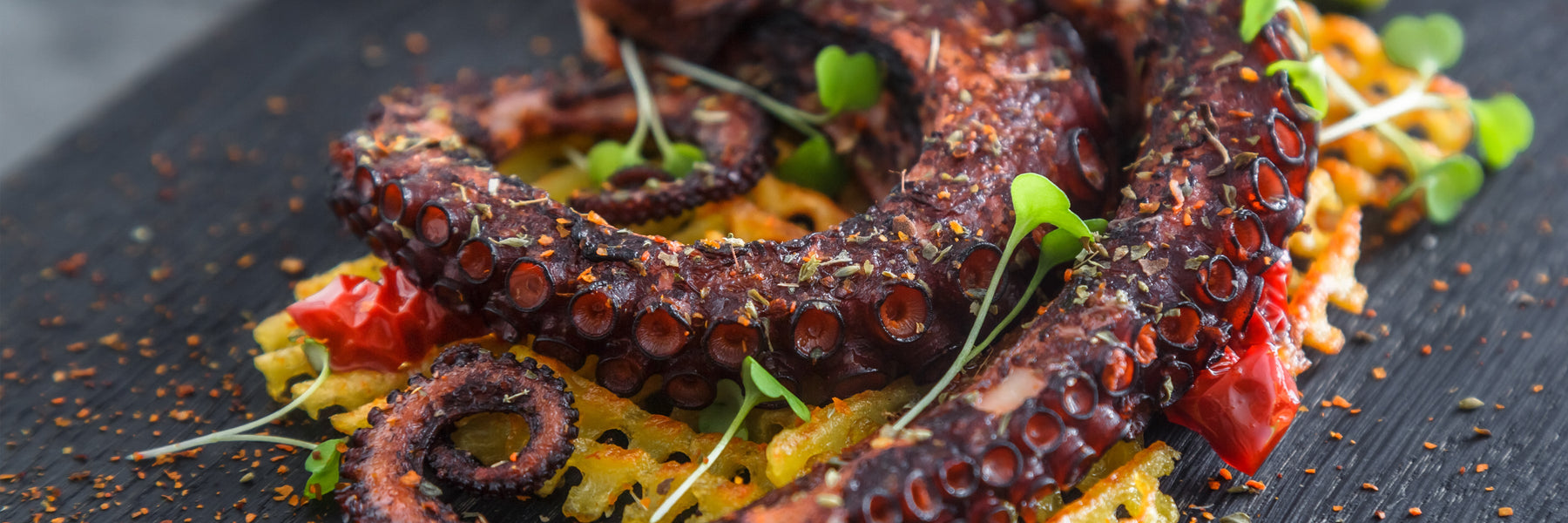 Grilled Octopus
