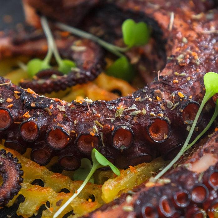Grilled Octopus